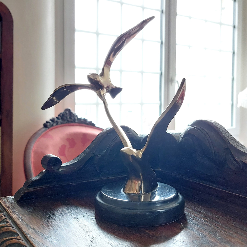 Dans notre bureau - Oiseaux