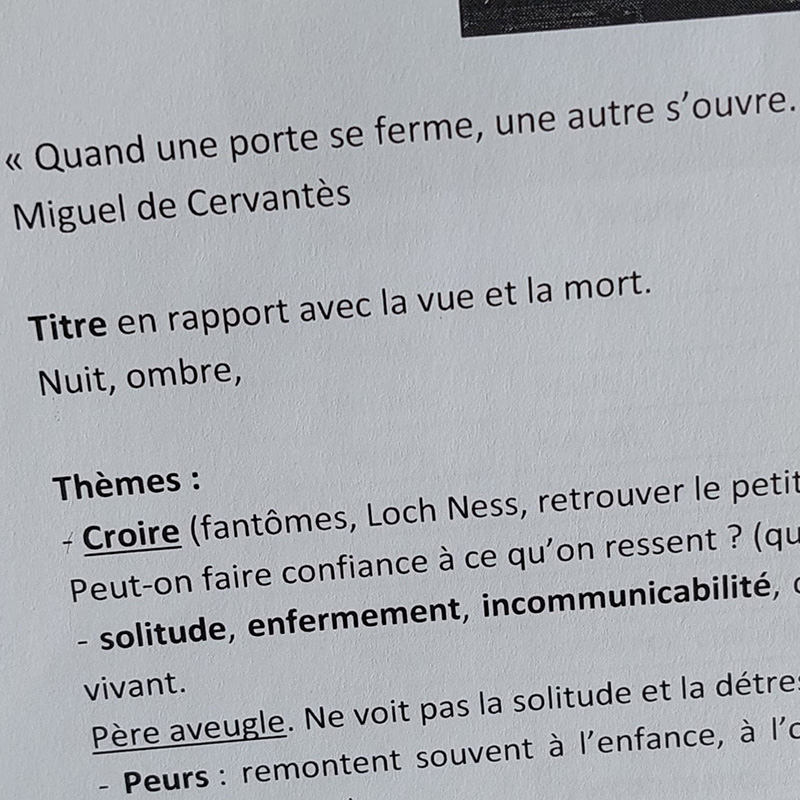 "Très tôt, nous avions notre exergue, cette citation de Miguel de Cervantès. Nous avions également réfléchi bien en amont aux thèmes que nous souhaitions aborder dans ce troisième roman (une dizaine). En revanche, nous avions complètement oublié que nous avions parlé de placer le mot « ombre » dans le titre dès ce stade de notre travail préparatoire... Le titre nous est venu très tard, après avoir terminé l'écriture !"