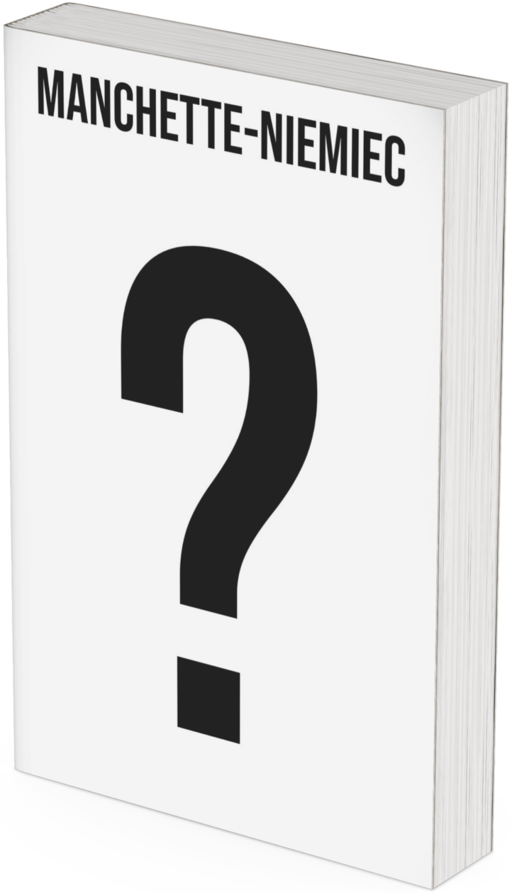 Le quatrième roman de Manchette-Niemiec